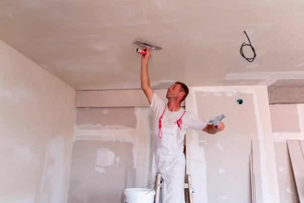 Best Repainting for Renovations  in Pine Brook, NJ